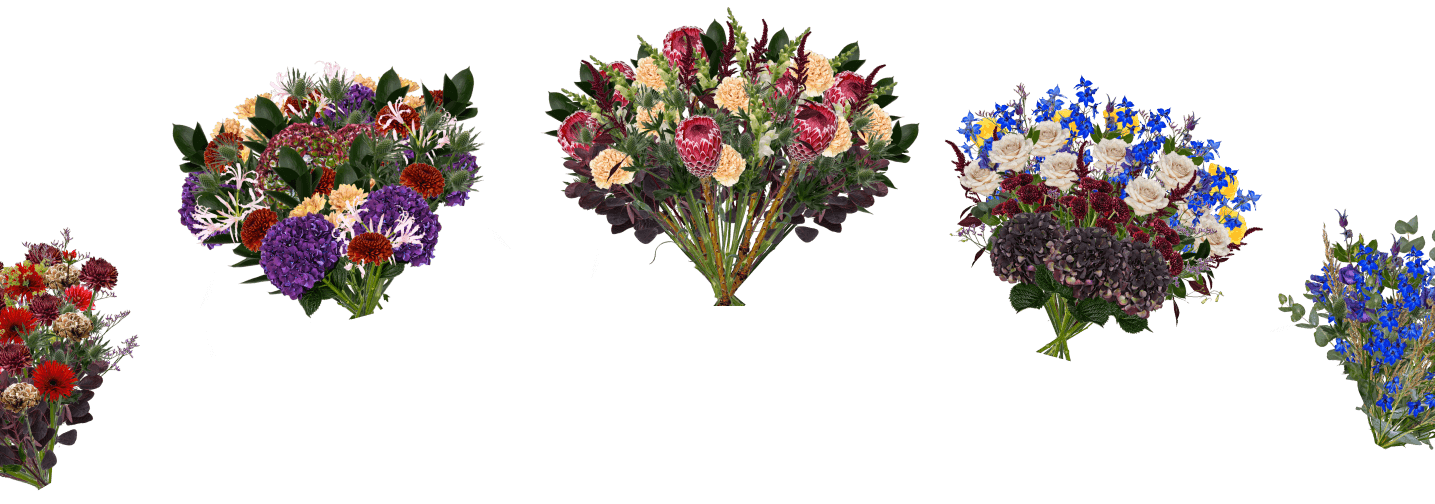 florissio logo